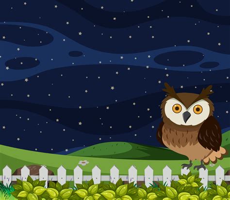 Owl At Night Scene 694401 Vector Art At Vecteezy