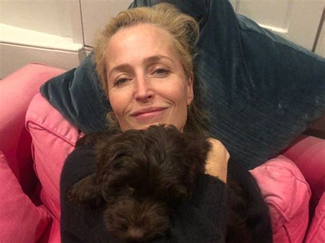 Gillian Anderson Latest News Breaking Stories And Comment The