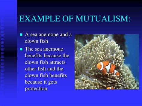 An Example Of Mutualism