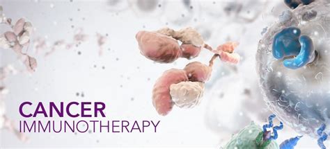 What You Need To Know About Immunotherapy Millennium Cancer Center