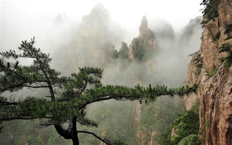 Aesthetic Nature Computer Wallpapers - Top Free Aesthetic Nature
