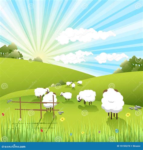 Sheeps Stock Vector Illustration Of Fence Meadow Landscape 15155274