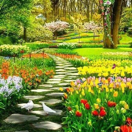 Wow 23+ Wallpaper Bunga Tulip Bergerak Android - Gambar ...
