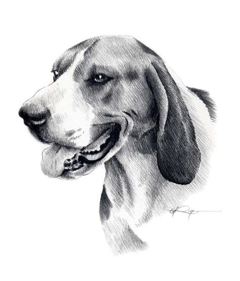 Check out our realistic dog selection for the very best in unique or custom, handmade pieces from our stuffed animals & plushies shops. Treeing Walker Coonhound Dog Pencil Drawing Art Print by ...
