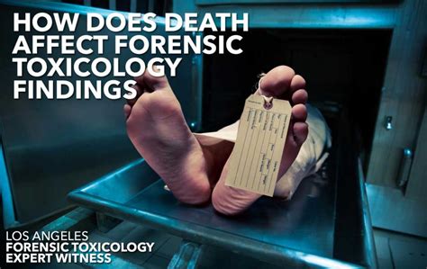The Function Of Forensic Toxicology In A Person’s Death
