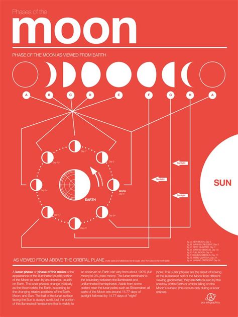 Phases Of The Moon Infographic Red Framed Art Print By Nick Wiinikka Vector Black Medium