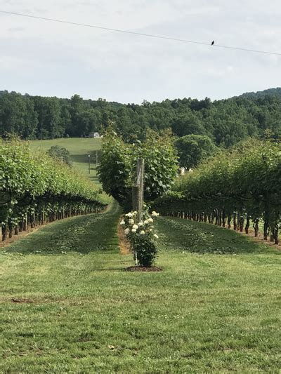 Monticello Wine Trail Tour June 25 2022
