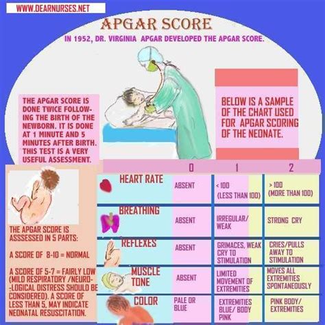 Apgar Score A Appearance Color P Pulse G Grimace Response To