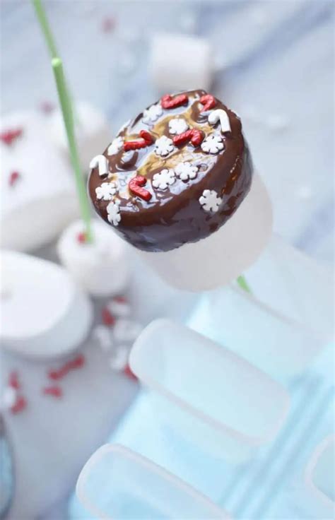Diy Winter Wonderland Chocolate Dipped Marshmallows