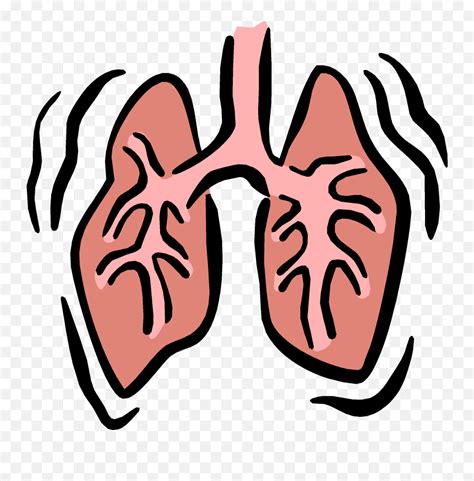 Lungs Clipart Animated Transparent Free For Clip Art Respiratory