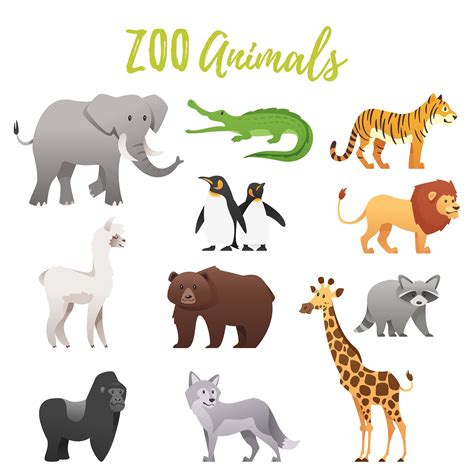 Zoo Animals Animal Illustrations Creative Market