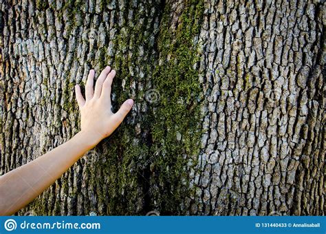 Child Hand On A Tree Trunk Stock Image Image Of Peaceful 131440433