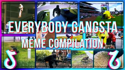 New Funny Tiktok Everybody Gangsta Meme Compilation May 2020 Youtube