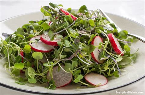 8 Microgreen Dishes To Celebrate The Best Of Summer Urban Cultivator