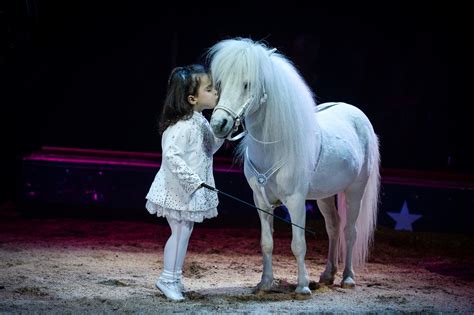 100 jahre zirkus knie festival, st. Circus Knie in Geneva | Geneva.info