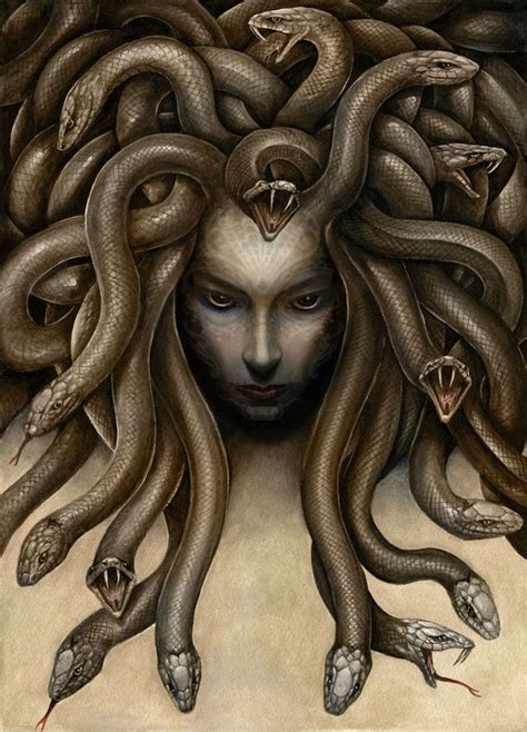 Pin By Eneida Valenzuela On Medusa Medusa Artwork Medusa Gorgon Medusa Art