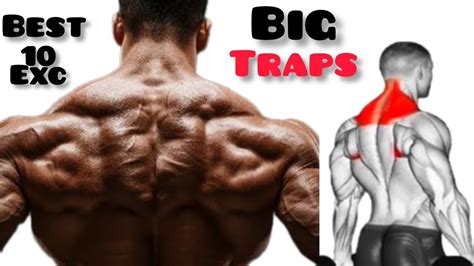 10 Best Traps Workout At Gym To Get Bigger Traps Massive Traps