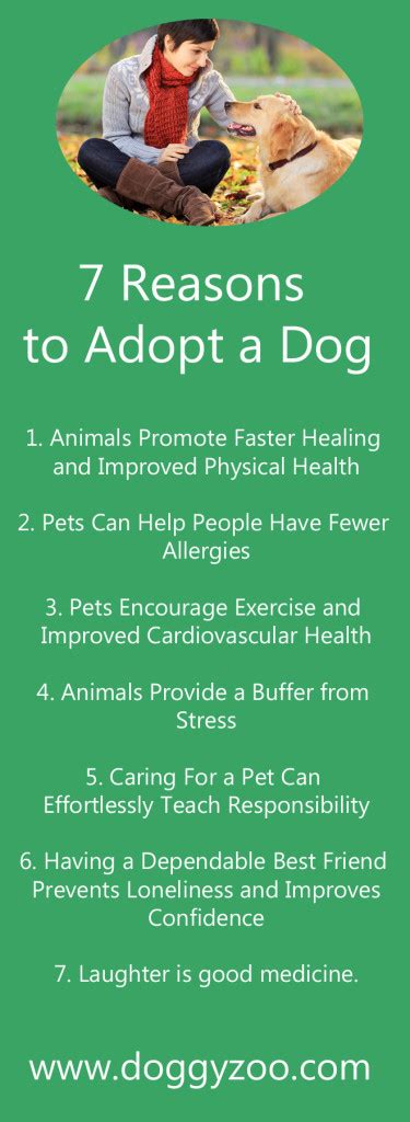 7 Reasons To Adopt A Dog