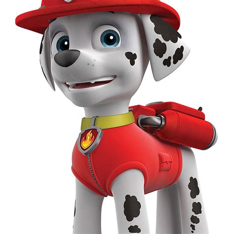 Paw Patrol Tv Characters