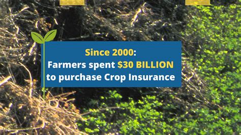 A crop insurance underwriter completes data entry, prepares production reports and claims. Crop Insurance by the Numbers - YouTube
