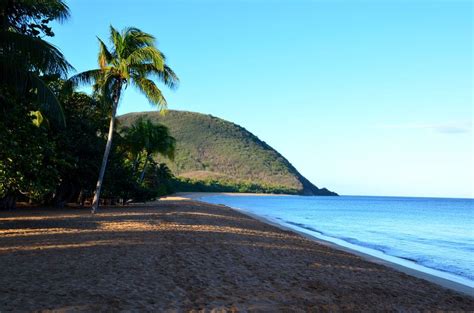 Die im atlantischen ozean gelegene insel guadeloupe hat etwa 456.000 einwohner und erstreckt sich über eine fläche von 1.780 km². Guadeloupe | Erkunden, Urlaub, Karibik