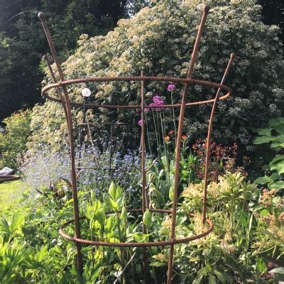 4.4 out of 5 stars 320. Rose & Peony Rusted Metal Garden Plant Supports | GardenSkill