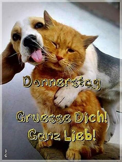 Grüße und glückwünsche zum hochzeitstag 💐alles liebe zum hochzeitstag 💗 weiterhin eine schöne. Pin von Willo Witsch auf Grüße zum Wochentag | Donnerstagsgrüße, Donnerstag lustig und Ich mag tiere