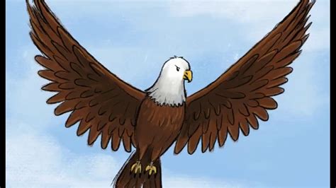 How To Draw An Eagle Quick And Easy Way Step By Step Drawing For