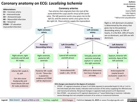Coronary Anatomy On ECG Localizing Ischemia Calgary Guide