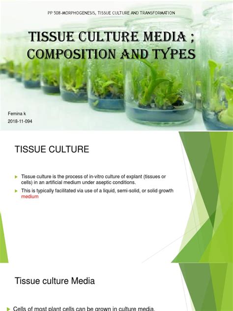When primary culture is first subcultured it gives rise to secondary culture 3 primary culture p selection secondary culture(cell line) characterization p2 tertiary culture p cell strain p4 p5. Tissue Culture Media ; Composition And Types | Cell ...