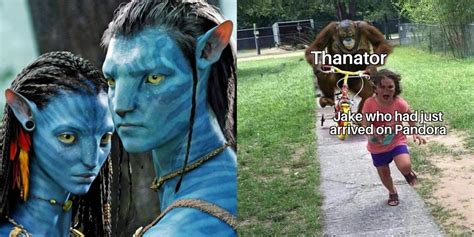10 Memes That Perfectly Sum Up Avatar 2009