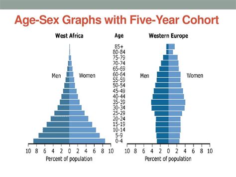 Ppt Population Pyramids Age Sex Pyramid Powerpoint Presentation Free Download Id 2583052