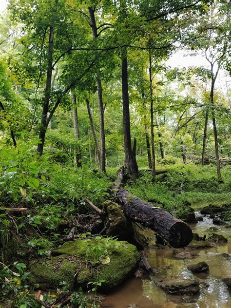 Maquoketa caves state park campground has 30 spacious and private campsites nestled among mature pine trees. Maquoketa Caves State Park, Iowa. : CampingandHiking
