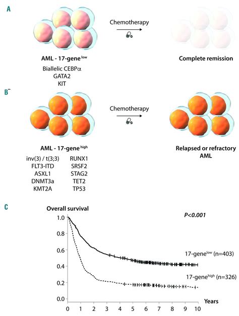 Leukemia Stem Cell Gene Expression Signatures Contribute To Acute