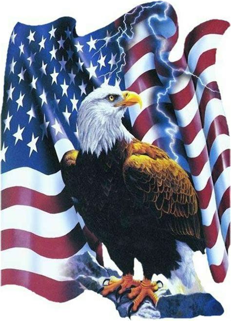 Download High Quality American Flag Clipart Eagle Transparent Png Images Art Prim Clip Arts 2019