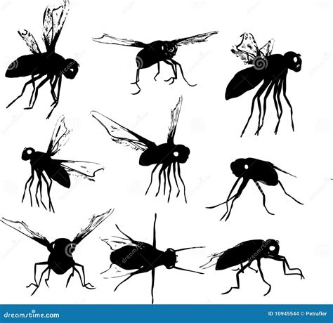 Fly Silhouettes Stock Vector Illustration Of Disease 10945544