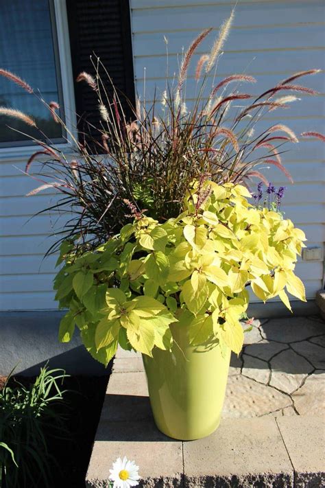 Fall Planter Ideas Wow Em In 3 Easy Steps Fall Planters Tomato