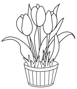 Setelah pola dasar kelopak bunga sudah tergambar, anda bisa melanjutkan untuk menggambar batang dahan dari bunga tulip tersebut. Gambar Mewarnai Bunga Tulip - Pintar Mewarnai