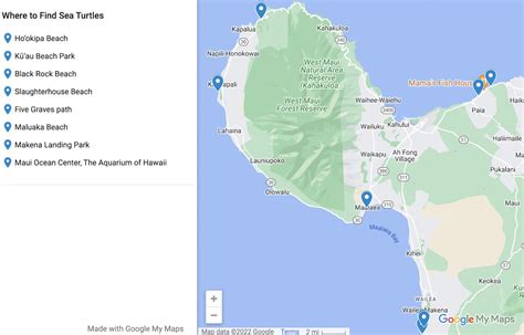 Mauis Turtle Beach 8 Tried And True Spots For Sea Turtle Sightings In