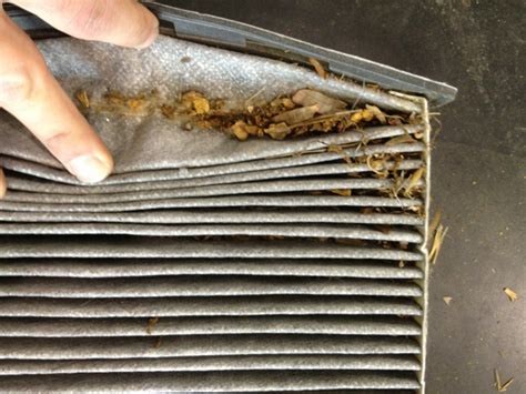 People who live in areas known for sand and. Does My Car Really Need This Service ~ Cabin Air Filter ...