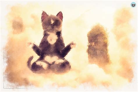 Cat Meditation Felini Kitty Zen Master Floating On Cloud