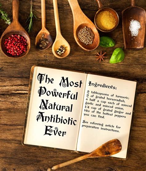 Best Natural Antibiotic Recipe My Recipes