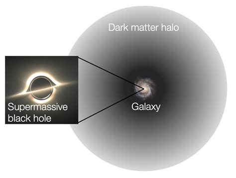 The Connection Between Supermassive Black Holes And Dark Matter Halos
