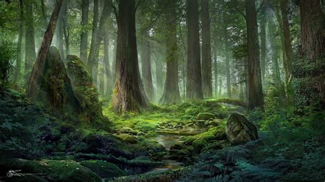 Forest River Nature Beauty Green Tree Wallpapers Hd Desktop And