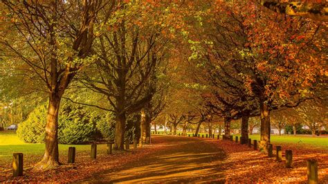22 Stunning Photos Of Vancouver In Fall 2015 604 Now