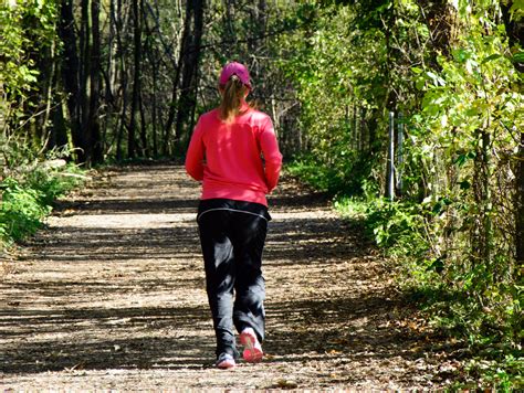 картинки природа лес гулять пешком девушка женщина след бег Бег трусцой Бегун досуг