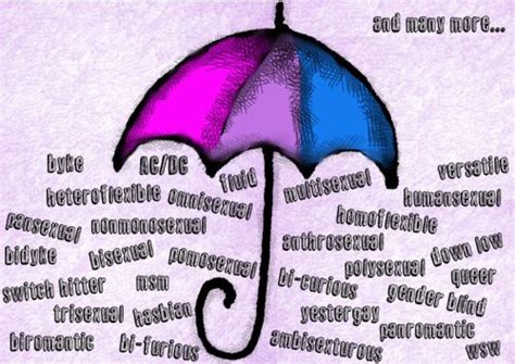 bi radical new bisexual umbrella d i needed to make this