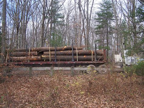 Logging Methods And How They Are Used Log Furniture