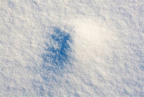 Fresh Snow — Stock Photo © Indric 1224878