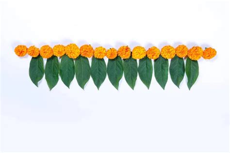Marigold Flower Toran Stock Photos Royalty Free Marigold Flower Toran